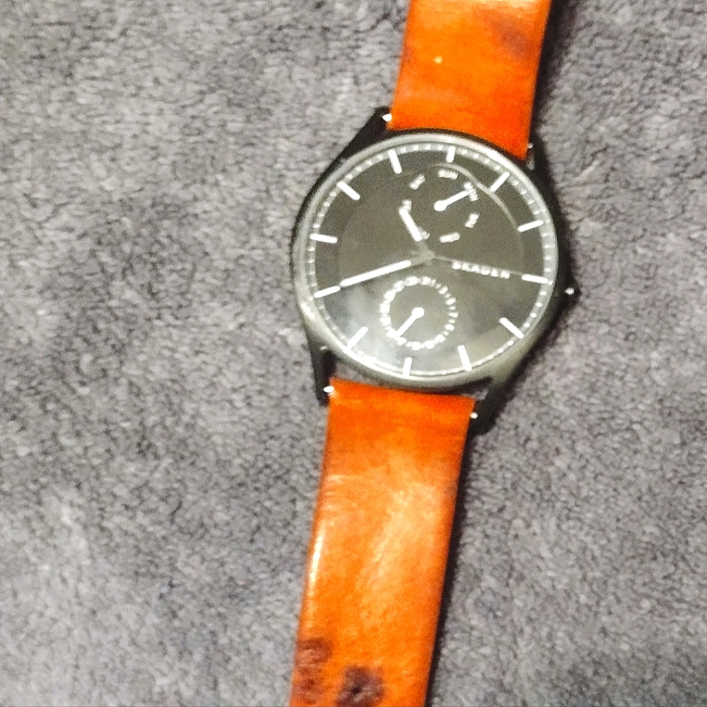 Skagen Man's Watch